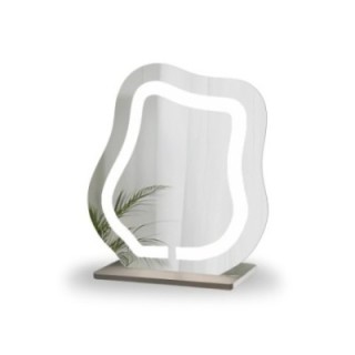 Kozmetičko ogledalo s pjeskarenim pozadinskim osvjetljenjem - FLOW LED PETITE