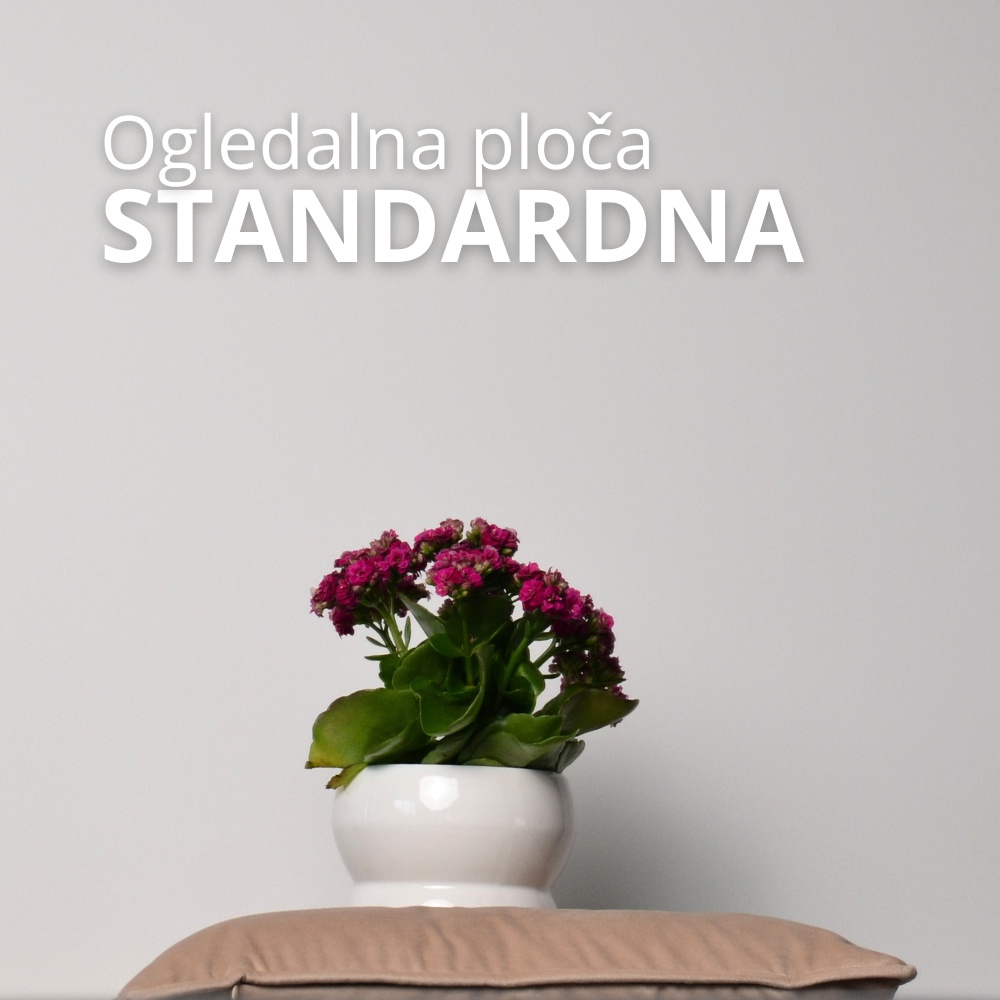 Standardna ploča
