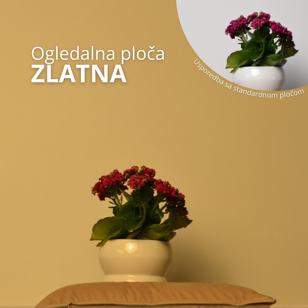 Zlatna ploča